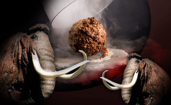 Bạn có muốn thử thịt nuôi cấy có chứa DNA của voi ma mút?缩略图