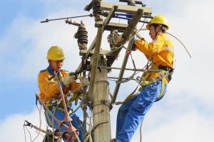 Lịch cúp điện Tây Ninh mới nhất (8/1 đến 11/1) Long An, Trảng Bàng, Bến Cầu, Cần Đước, Cần Giuộc mất điện nhiều doanh nghiệp