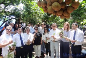 Tri thức trồng, chế biến nhãn lồng Hưng Yên là di sản văn hóa phi vật thể quốc gia