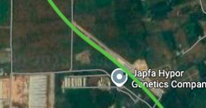 Đường sẽ mở theo quy hoạch ở xã Minh Đức, tỉnh Đồng Nai (phần 1)