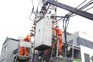 Lịch cúp điện Tây Ninh mới nhất (12/1 đến 14/1) Tân Châu, Trảng Bàng, Tân Ninh, Gò Dầu, Cần Giuộc mất điện nhiều hộ nuôi tôm