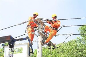 Lịch cúp điện Lâm Đồng tuần này (12/1-18/1) mất điện diện rộng ở Phan Thiết, Tuy Phong, Đức Linh, La Gi, Đà Lạt, Di Linh, Đức Trọng, Đạ Huoai, Đắk R’lấp, Đắk Mil, Cư Jút, Krông Nô, Đắk Song, Tuy Đức