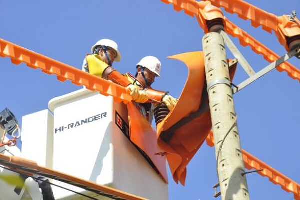 Lịch cúp điện Đồng Tháp mới nhất (29/1 đến 1/2) Tháp Mười, Mỹ Tho, Cao Lãnh, Tân Phú Đông mất điện nhiều đoạn đường