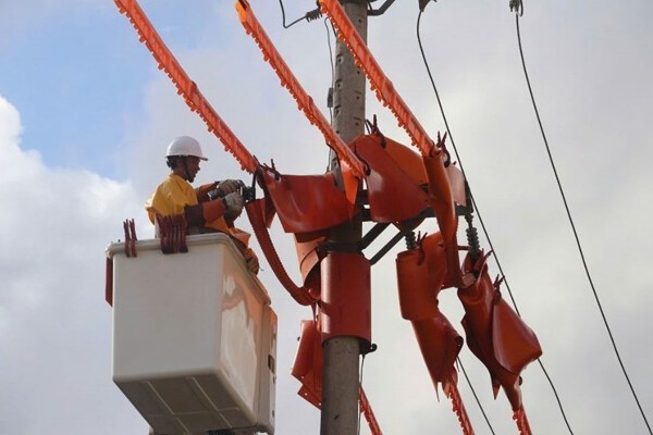 Lịch cúp điện TP HCM tuần này (19/1-25/1) nhiều khu vực phường Tân Thành và xã Long Hải, Đất Đỏ, Châu Đức mất điện ban ngày