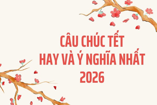 Top 100 câu chúc Tết 3 chữ, 4 chữ, 5 chữ, 6 chữ hay và ý nghĩa nhất 2026