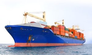 Một doanh nghiệp vận tải biển sắp chia cổ tức tiền mặt tỷ lệ 92,5%