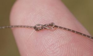 Trung Quốc ra mắt chip dạng sợi, TikTok lập liên doanh tại Mỹ