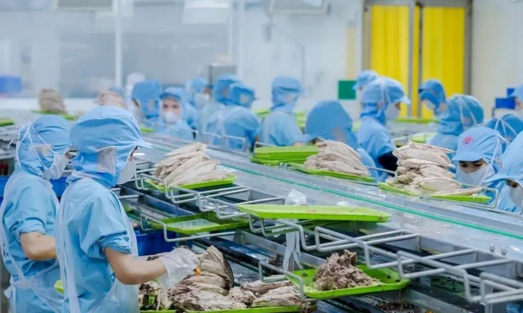 Đồ hộp Hạ Long lên tiếng về việc kho hàng có thịt lợn nhiễm bệnh缩略图 Đồ hộp Hạ Long lên tiếng về việc kho hàng có thịt lợn nhiễm bệnh