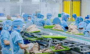 Đồ hộp Hạ Long lên tiếng về việc kho hàng có thịt lợn nhiễm bệnh