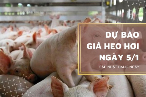 Sẽ tiếp tục giảm ở một số địa phương