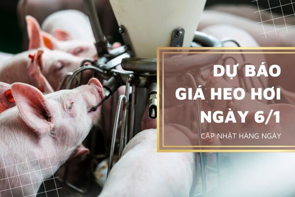 Thị trường có thể tăng nhẹ ở nhiều nơi