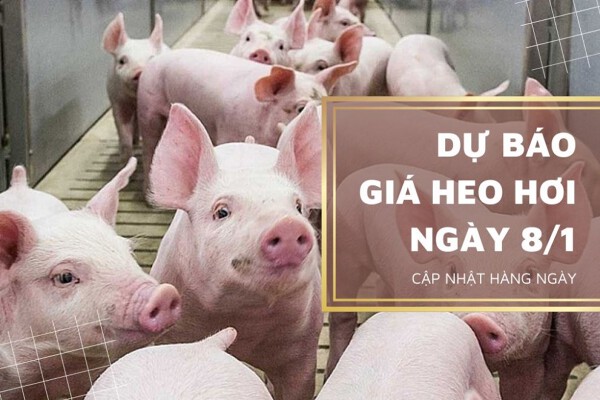 Duy trì đà tăng, nguồn cung hạn chế do dịch bệnh diễn biến phức tạp