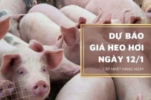 Tiếp tục sôi động trước Tết Nguyên đán