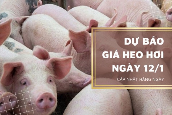 Tiếp tục sôi động trước Tết Nguyên đán