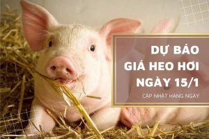 Giữ nhịp tăng do áp lực cầu vẫn ở mức cao