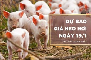 Duy trì xu hướng đi lên của thị trường