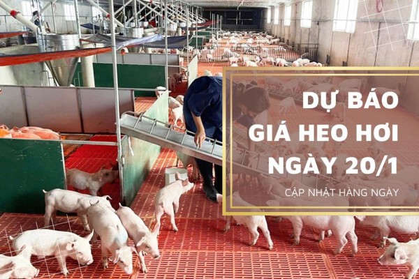 Sẽ tiếp tục duy trì nhịp tăng