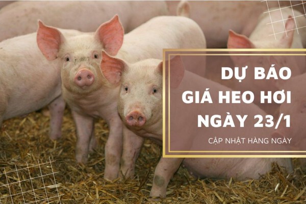 Sẽ tiếp tục bứt phá trước những ngày cận Tết