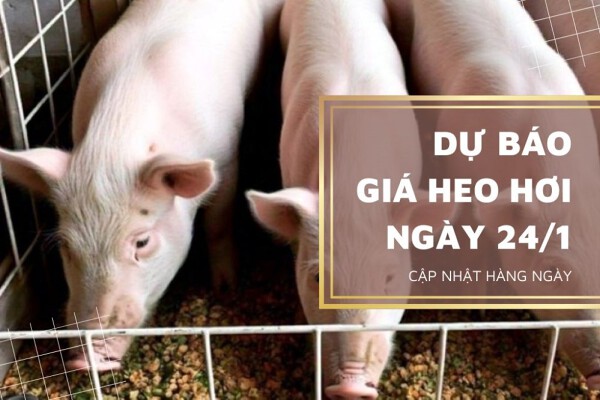 Duy trì đà tăng trên cả ba miền