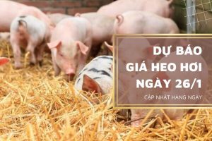 Giữ xu hướng tăng trên cả nước