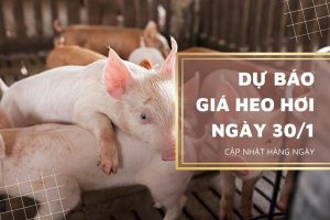 Đà tăng chững lại, thị trường đảo chiều đi xuống