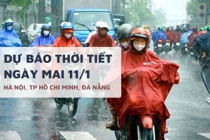 Dự báo thời tiết ngày mai 11/1, Hà Nội thấp nhất 12 độ, TP HCM ít mưa và Đà Nẵng mưa rải rác