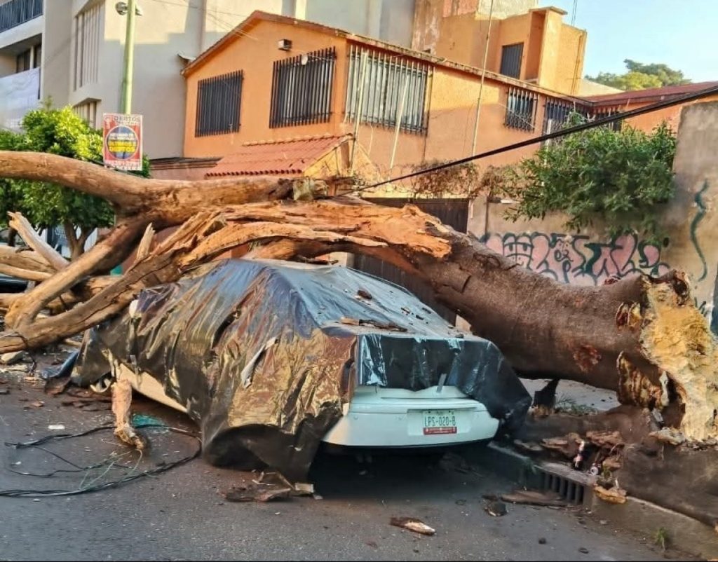 Động đất tại Mexico cắt ngang cuộc họp báo của tổng thống