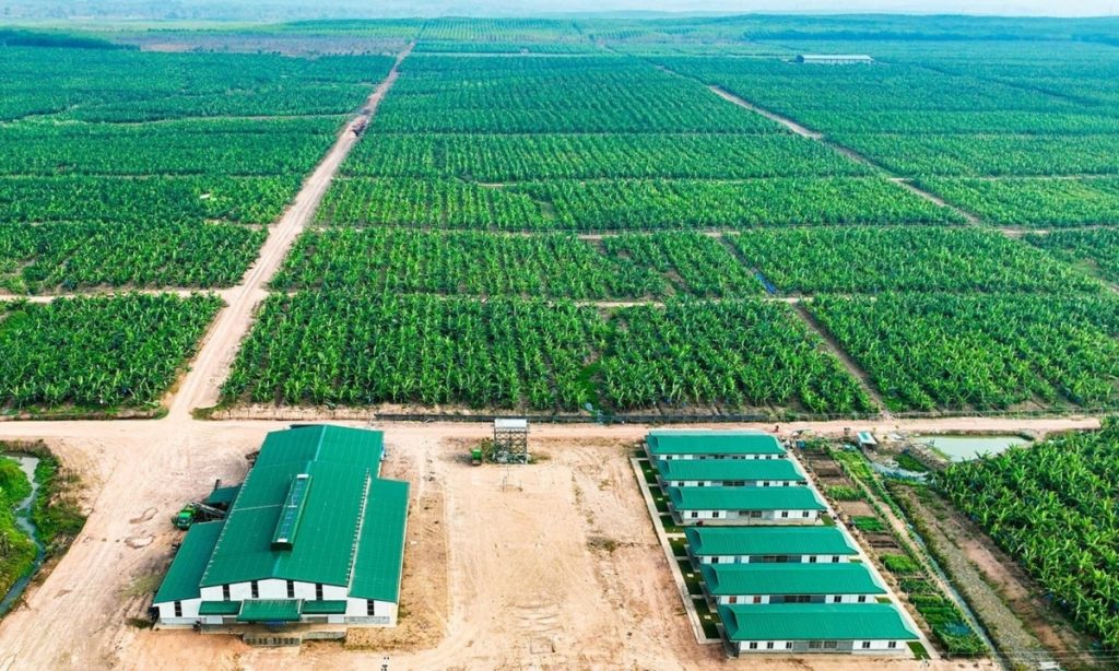 HAGL muốn bán nốt hơn 91 triệu cổ phiếu HNG