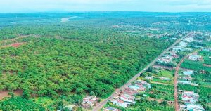 Gia Lai giãn tiến độ hai dự án của FLC