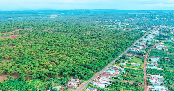 Gia Lai giãn tiến độ hai dự án của FLC