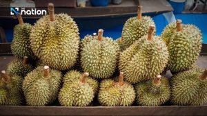 Thái Lan đề xuất dùng tuyến cao tốc Lào – Trung Quốc vận chuyển sầu riêng