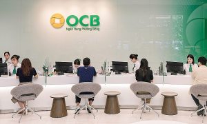 OCB bổ nhiệm phó tổng giám đốc mới