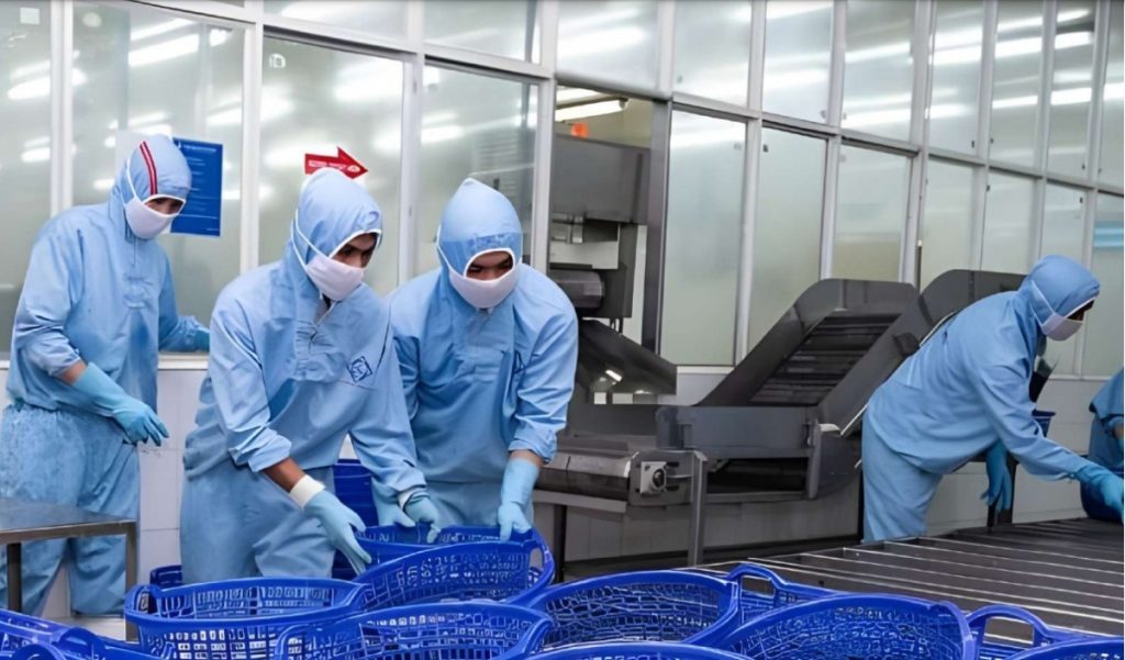 Sao Ta về đích lợi nhuận năm 2025缩略图 Sao Ta về đích lợi nhuận năm 2025