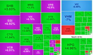 Vinhomes và Vingroup giảm sàn, VN-Index tiến bước nhờ ngân hàng và chứng khoán