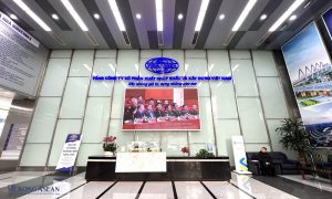 Cổ phiếu Vinaconex giảm kịch biên độ, dư mua giá sàn 12 triệu đơn vị