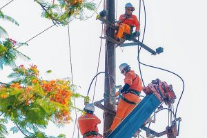 Lịch cúp điện TP HCM tuần này (23/2-1/3) phường Bình Tân, Tân Tạo, Bình Trị Đông, Phú Mỹ, Tân Hải, Tân Phước, Thuận An, Thuận Giao, Tân Hiệp, Vĩnh Tân mất điện diện rộng