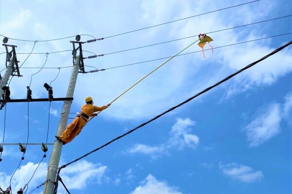 Lịch cúp điện Đồng Tháp mới nhất (9/2 đến 11/2) Tháp Mười, Cao Lãnh, Lai Vung, Tân Hùng, Sa Đéc mất điện đến chiều tối