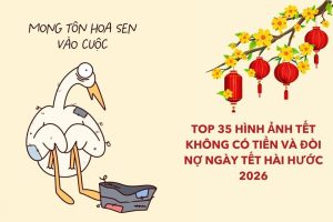 Top 35 hình ảnh Tết không có tiền và đòi nợ ngày Tết hài hước 2026