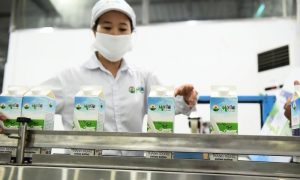 Mộc Châu Milk còn hơn 633 tỷ đồng vốn huy động chưa sử dụng