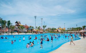 Những con số ấn tượng