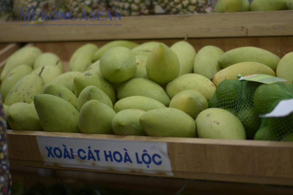 Ngành rau quả hướng tới kim ngạch 10 tỷ USD xuất khẩu năm 2026缩略图 Ngành rau quả hướng tới kim ngạch 10 tỷ USD xuất khẩu năm 2026