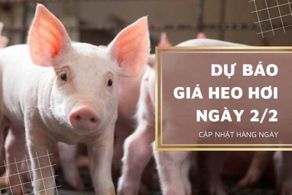 Miền Bắc và miền Trung tiếp đà giảm, miền Nam có khả năng tăng nhẹ