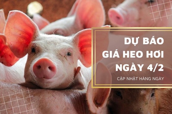 Sẽ tiếp tục lao dốc tại nhiều địa phương