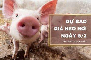Đà giảm vẫn chưa dừng lại