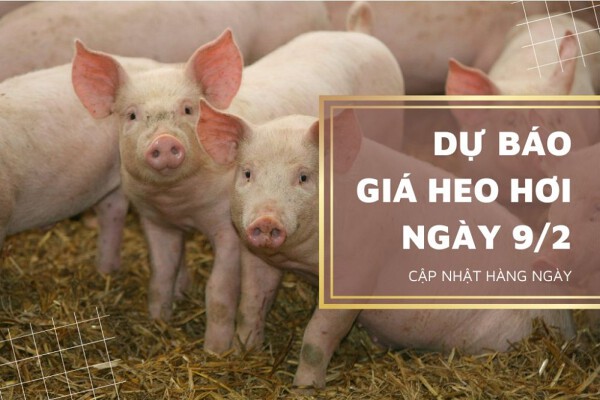 Sẽ tiếp tục giảm trong thời gian tới