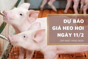 Đà giảm vẫn tiếp diễn