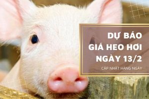 Sẽ tiếp tục điều chỉnh tại miền Nam