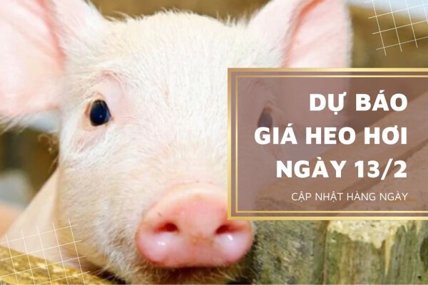 Sẽ tiếp tục điều chỉnh tại miền Nam