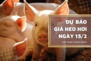 Sẽ giảm nhẹ tại một số địa phương