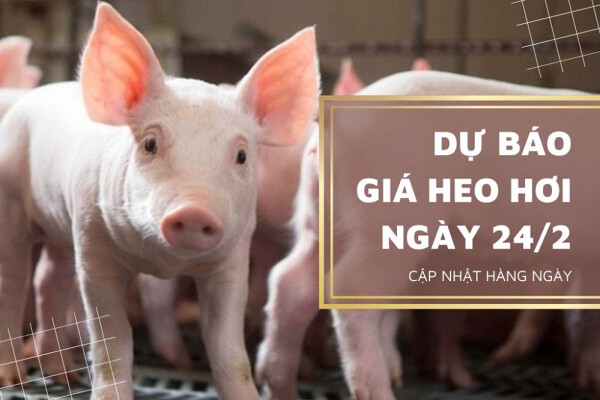 Duy trì đà giảm ở nhiều địa phương
